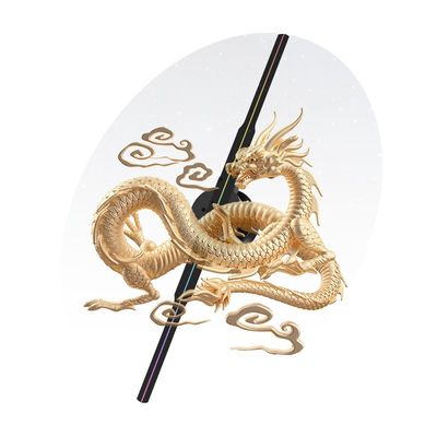 MP4/AVI/RMVB/GIF/JEPG/PNG/MKV Compatible 3D Hologram Fan 42cm voor buitenreclame